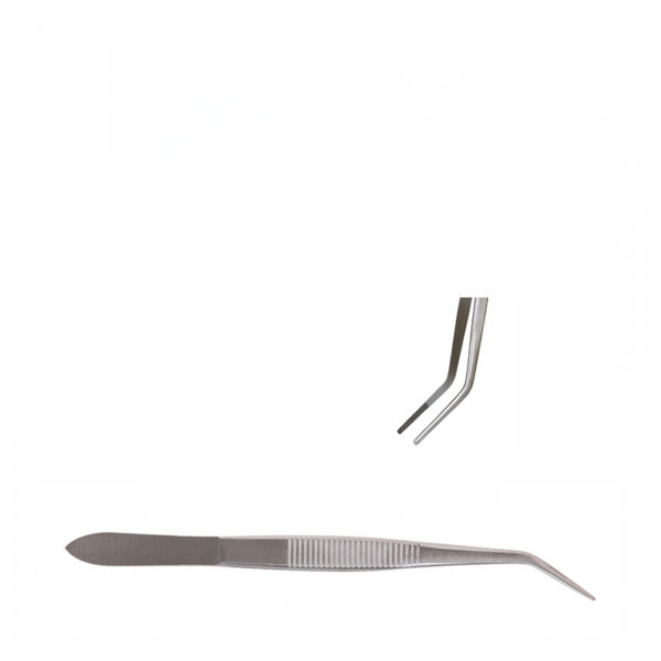 TRAITEMENTS - EVERLASH - EXTENSIONS DE CILS  - PINCE A CILS