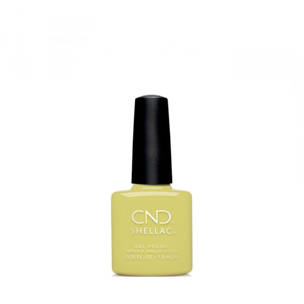 CND - Shellac - Vernis semi permanent - Couleur - Mind Over Matcha