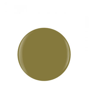 HARMONY - GELISH - COULEURS - LOST MY TERRAIN OF THOUGHT - Image 2