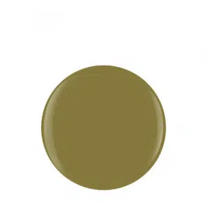 HARMONY - GELISH - COULEURS - LOST MY TERRAIN OF THOUGHT - Image 2