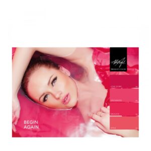 ABSTRACT BRUSH N' COLOR - COLLECTION BEGIN AGAIN - 4x10ml