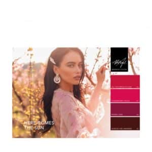 ABSTRACT BRUSH N' COLOR - COLLECTION HERE COMES THE SUN - 4x10ml