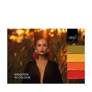 ABSTRACT BRUSH N' COLOR - COLLECTION KINGDOM IN COLOUR - 4x10ml