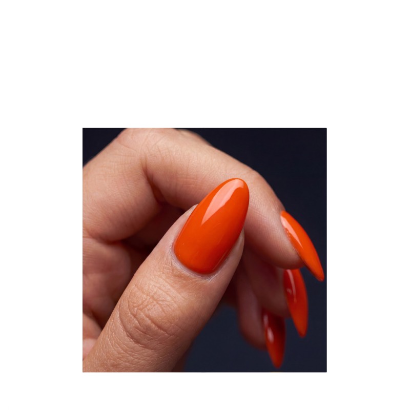 ABSTRACT BRUSH N' COLOR - SUMMERFOLD - 10ML - Image 3